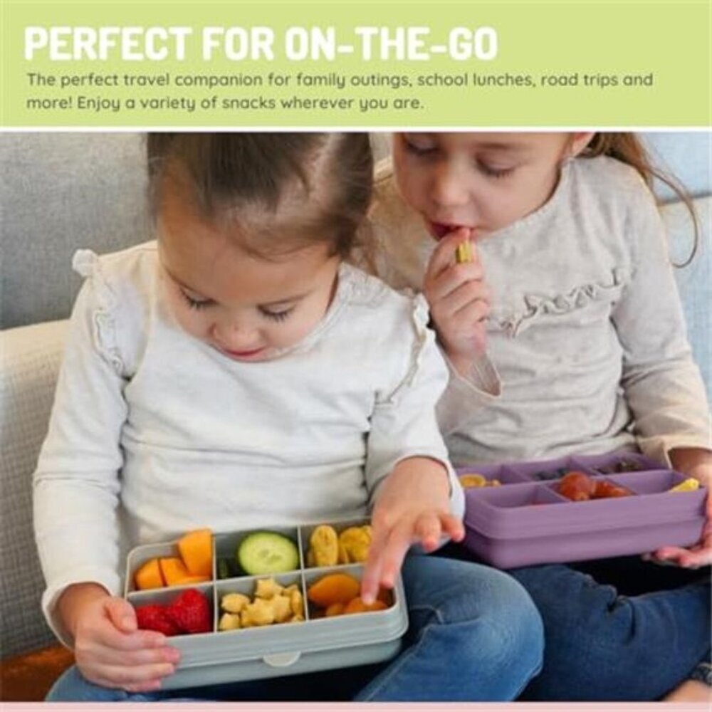 BPA-Free Snack Container 6-Compartment Divided Box - Picture 6 of 6